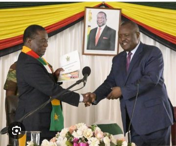 Mutungamiri wenyika vogadzika Mambo Charumbira pachigaro chepamanhengatenga.