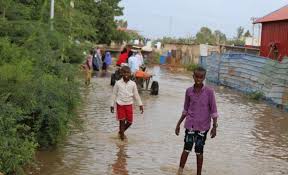 Masvingo Municipality to relocate flood-hit families, seeks $300,000 funding