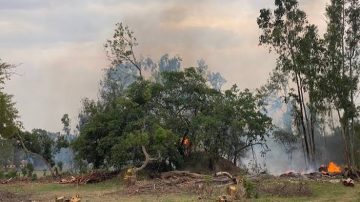 Masvingo Calls for United Action to Tackle Climate Change and Environmental Degradation